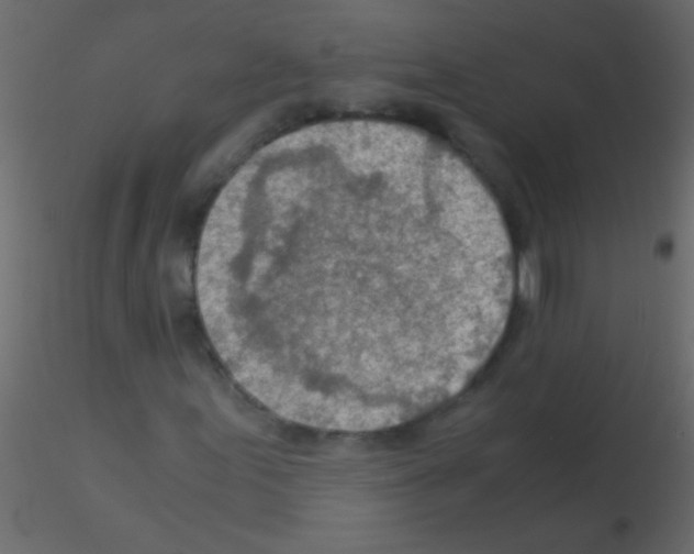 X0000115821155200912241929