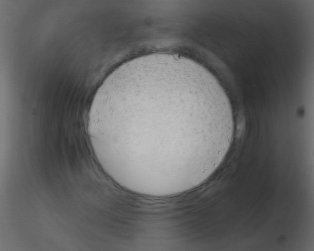 X0000115821156200912241929