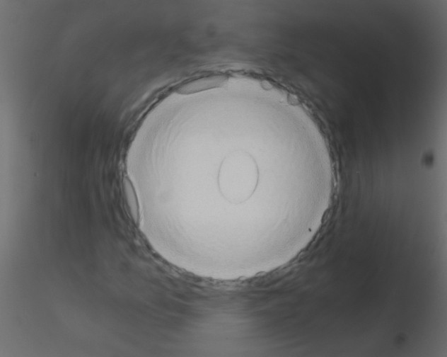 X0000115821157200912241929