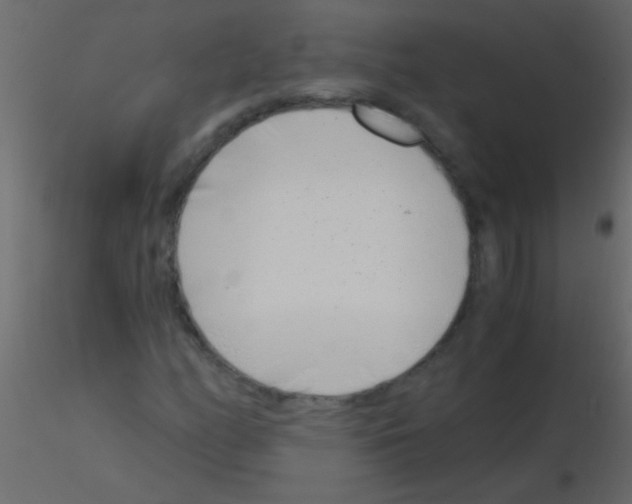 X0000115821158200912241929