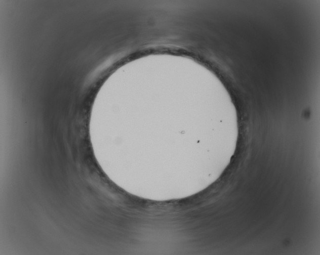 X0000115821159200912241929