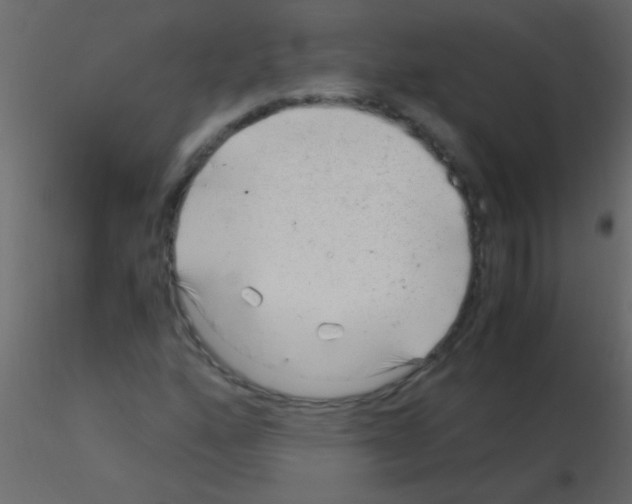 X0000115821160200912241929