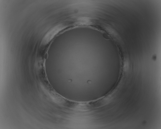 X0000115821161200912241929