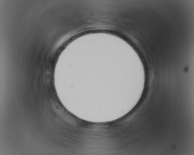 X0000115821163200912241929