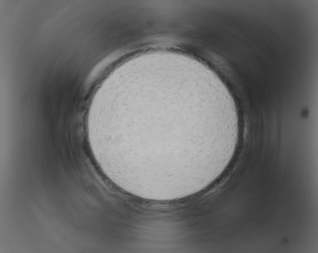 X0000115821164200912241929