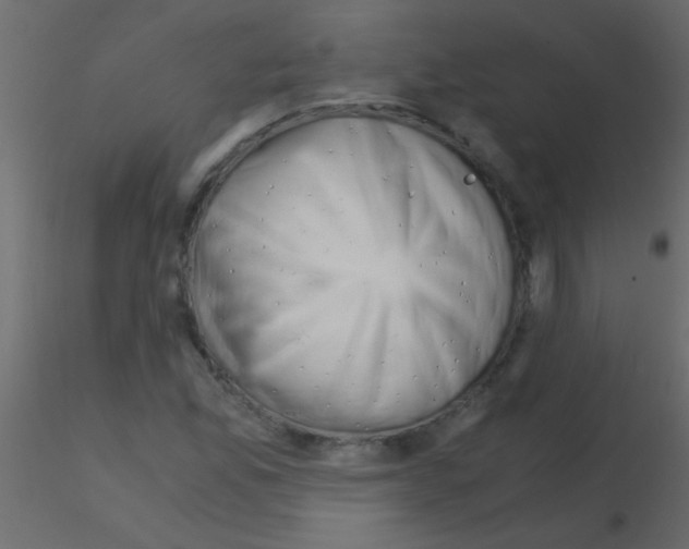 X0000115821165200912241929