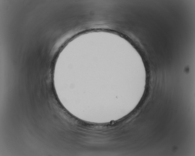 X0000115821167200912241929