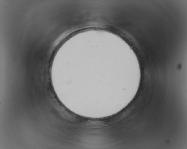 X0000115821168200912241929