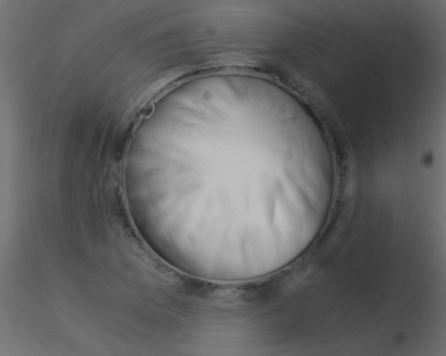 X0000115821169200912241929