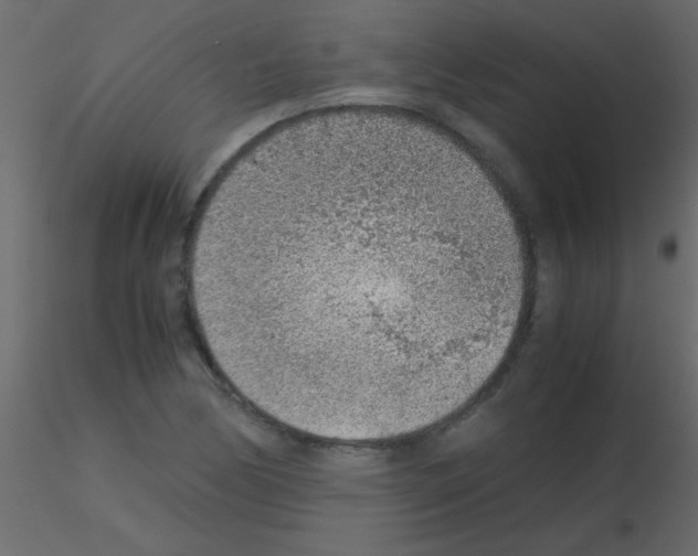 X0000115821170200912241929