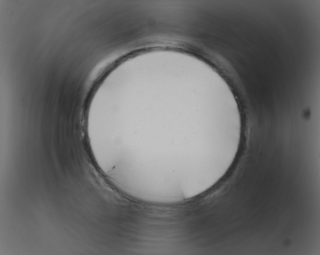 X0000115821172200912241929