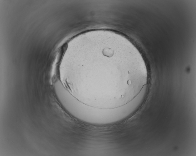 X0000115821173200912241929