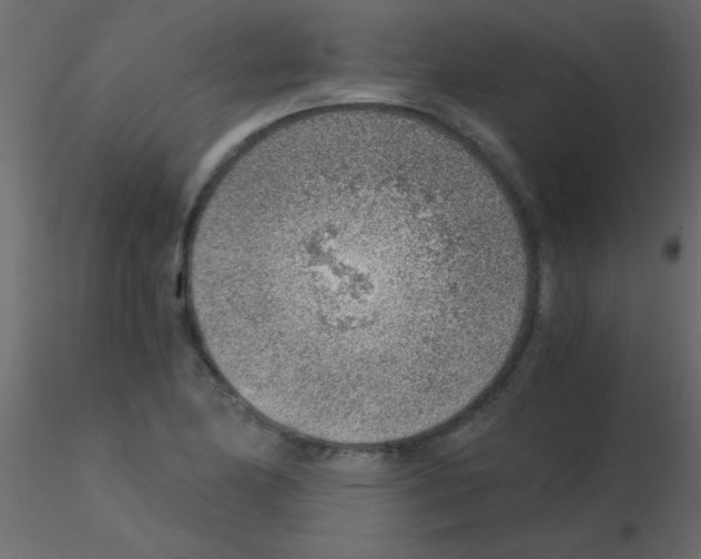 X0000115821174200912241929