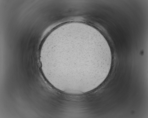 X0000115821176200912241929