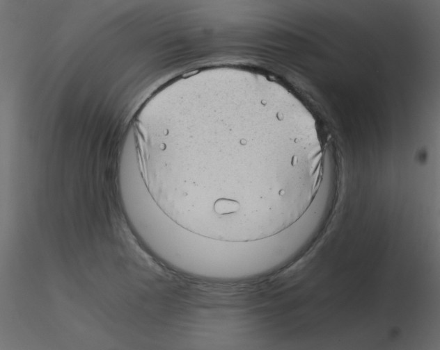 X0000115821177200912241929