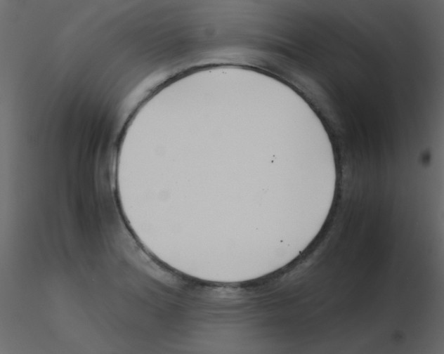 X0000115821180200912241929