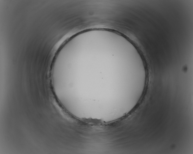 X0000115821181200912241929