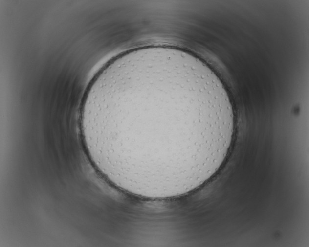 X0000115821182200912241929