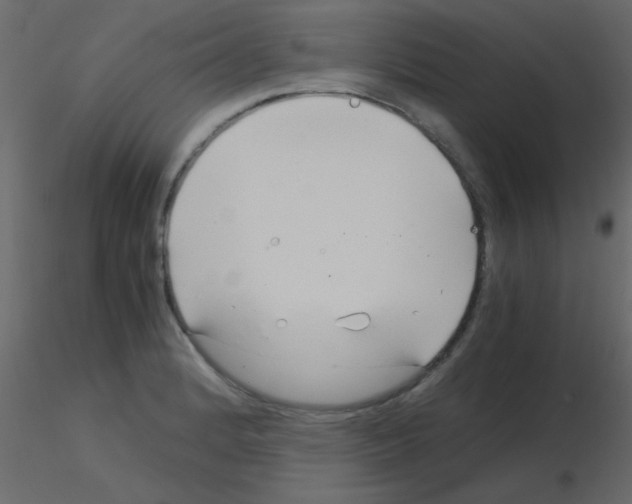 X0000115821184200912241929