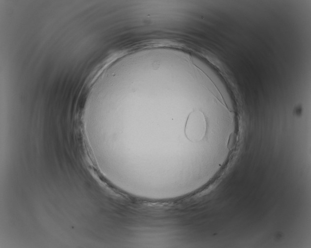 X0000115821185200912241928