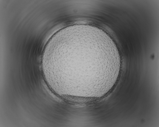 X0000115821186200912241928