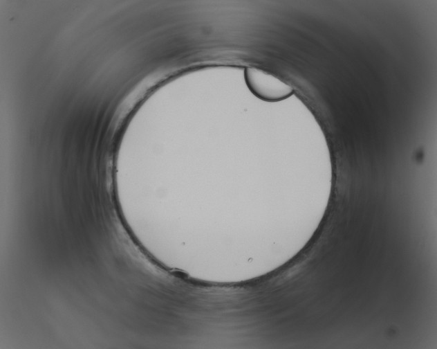 X0000115821188200912241928