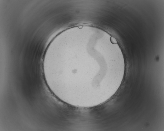 X0000115821190200912241928