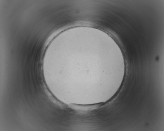 X0000115821192200912241928