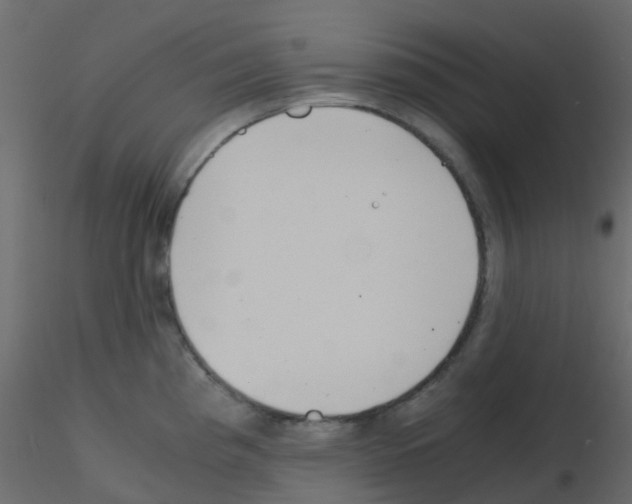 X0000115821193200912241928