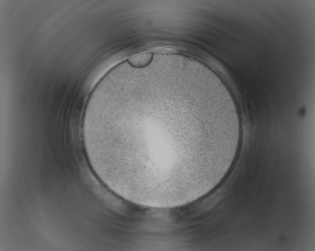 X0000115821194200912241928