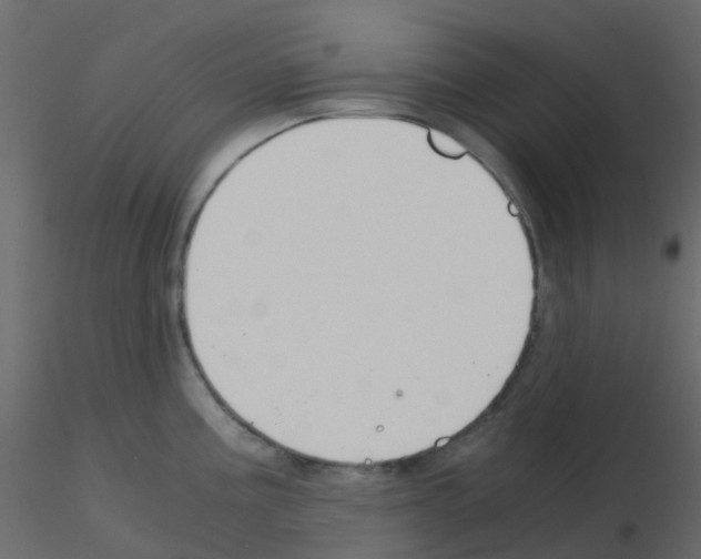 X0000115821195200912241928