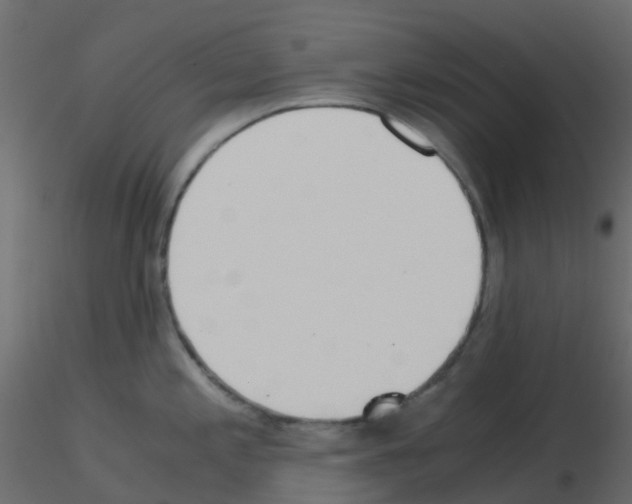 X0000115821197200912241928