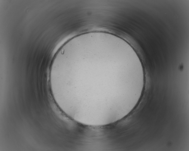 X0000115821198200912241928