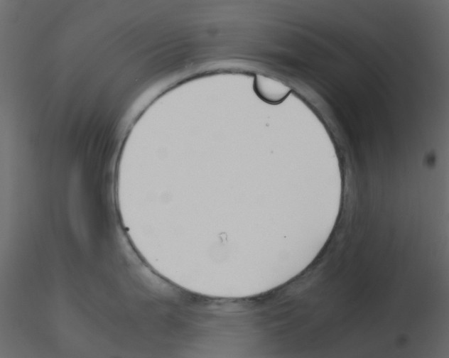 X0000115821199200912241928