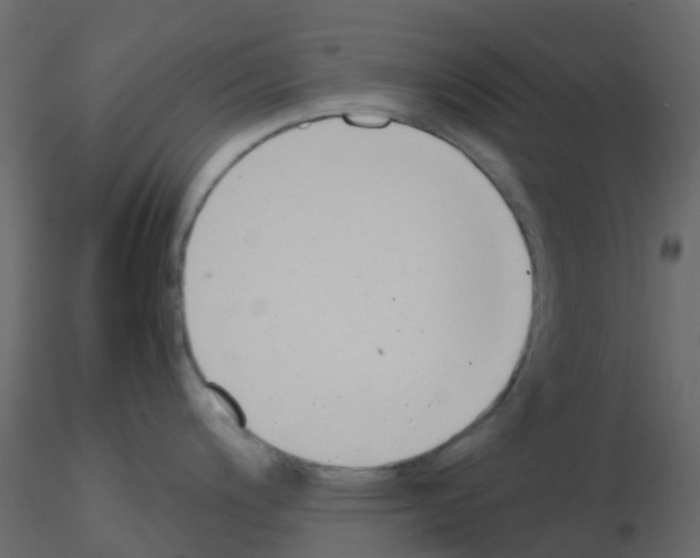 X0000115821200200912241928