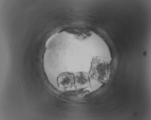 X0000115821201200912241928