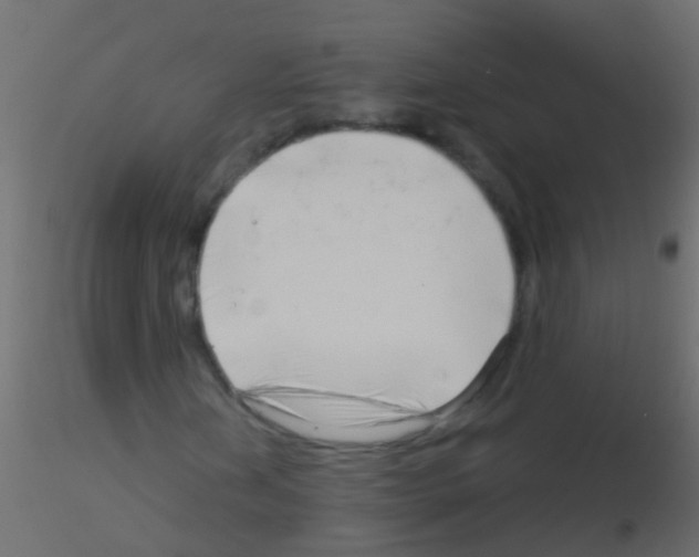 X0000115821202200912241928