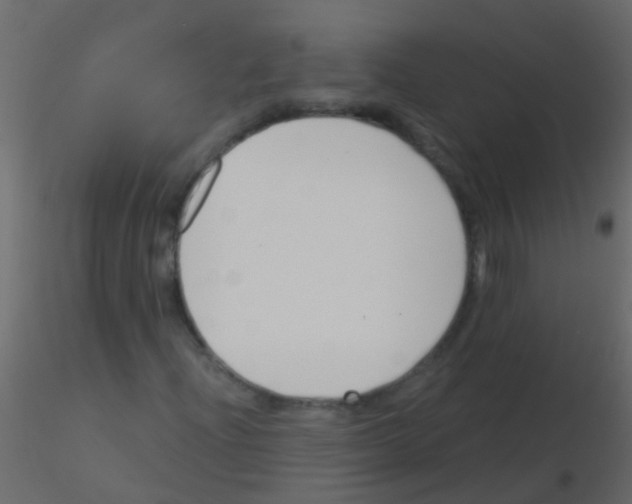 X0000115821204200912241928