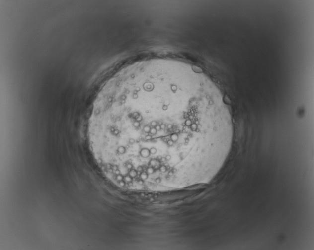 X0000115821205200912241928