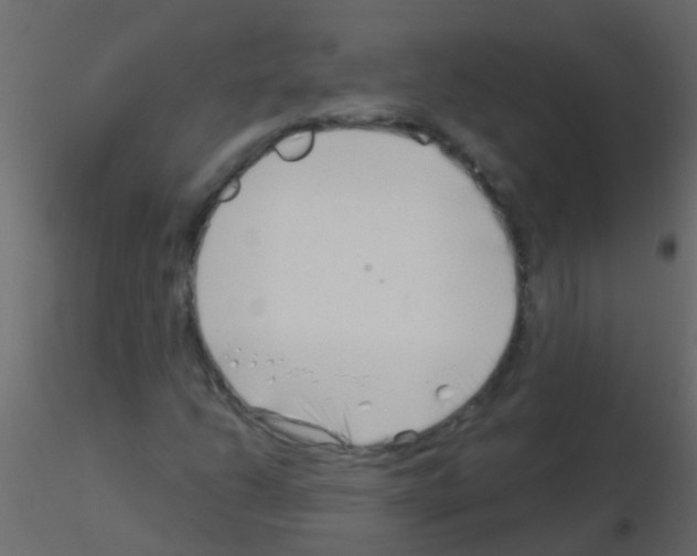 X0000115821206200912241928