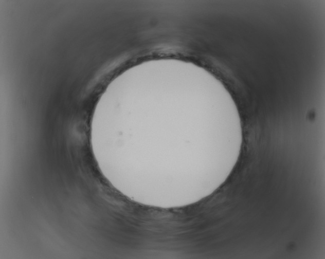 X0000115821207200912241928