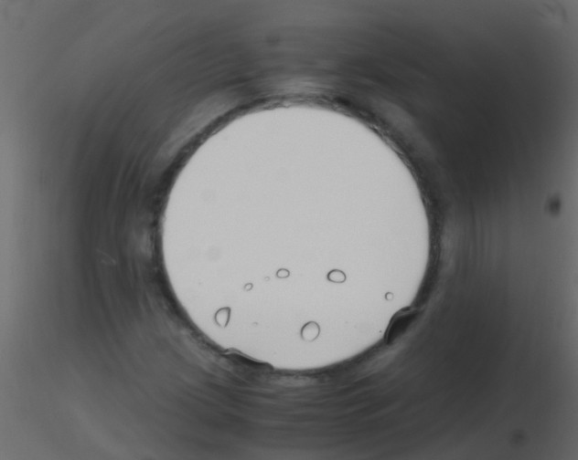 X0000115821209200912241928