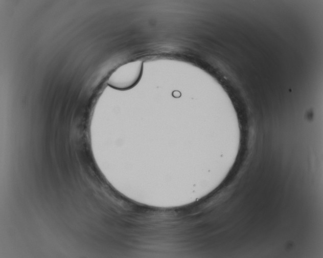 X0000115821210200912241928