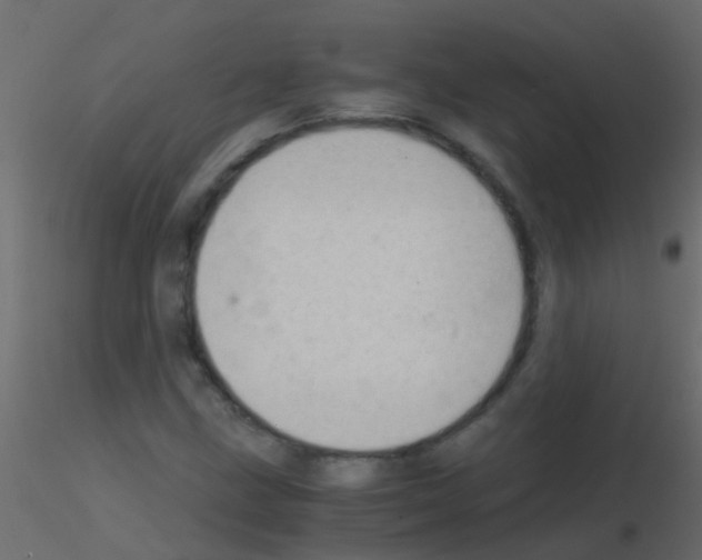 X0000115821211200912241928