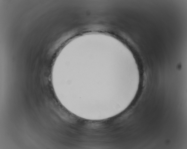 X0000115821213200912241928