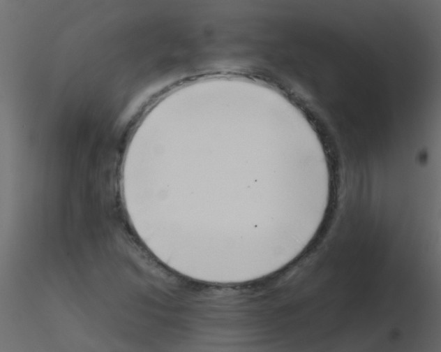 X0000115821214200912241928