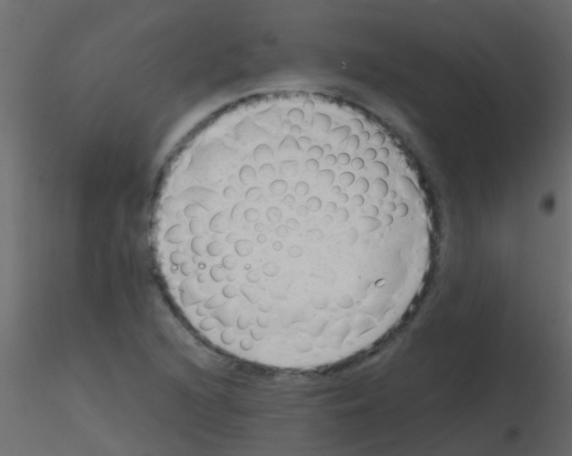 X0000115821216200912241928