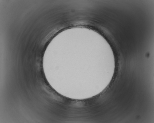 X0000115821217200912241928