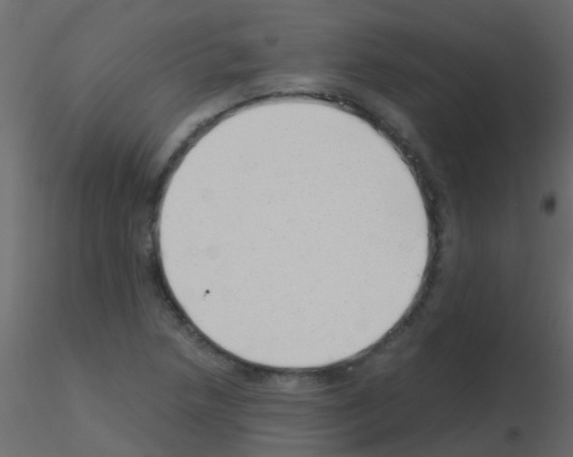 X0000115821218200912241928