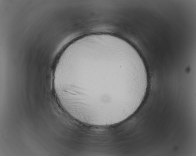 X0000115821219200912241928